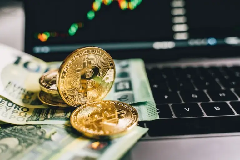 Kasztan zniszczył szybę auta. Kto odpowiada finansowo